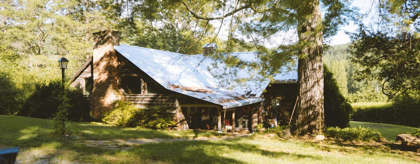 Mountain Cabin Buffalo Jackson