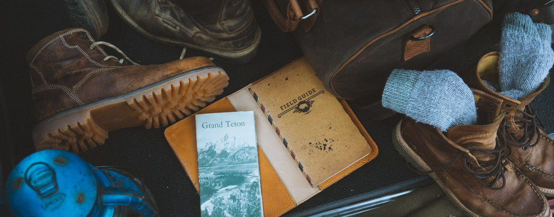 What Is Used To Tan Leather?