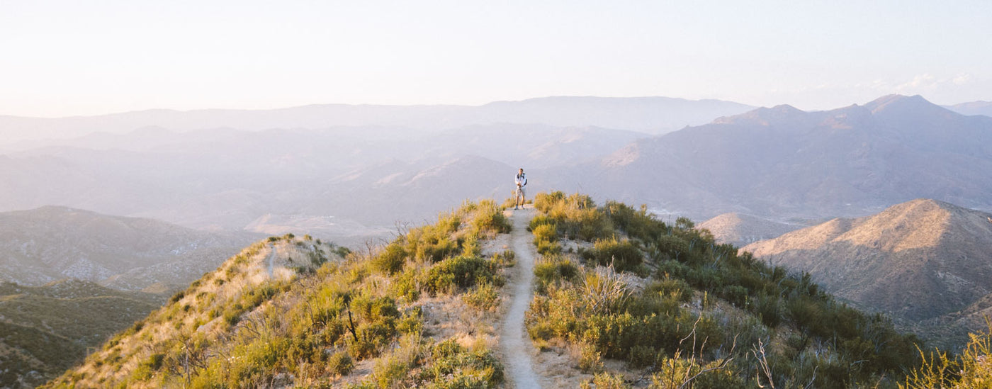 A Nose for the Light