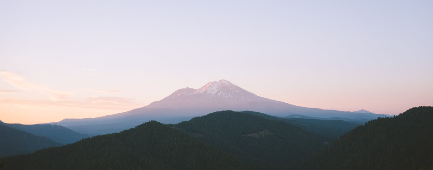 Mt. Shasta Buffalo Jackson