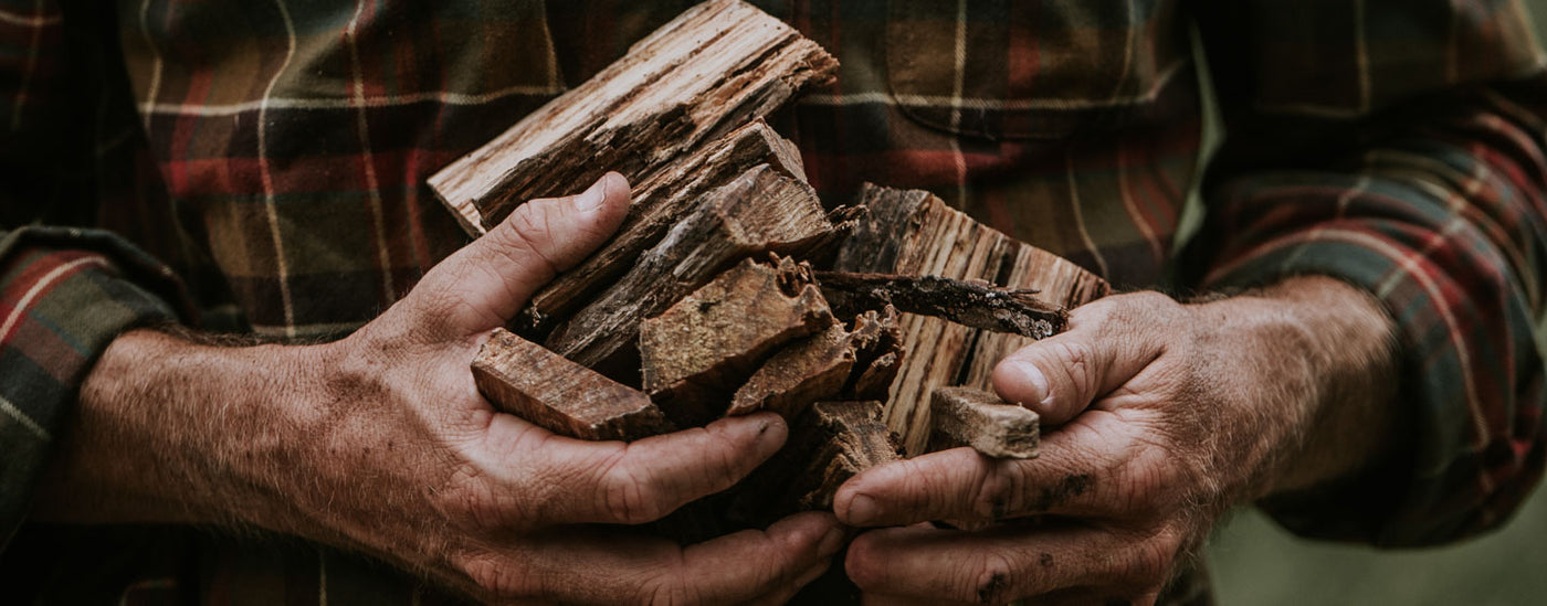 Gathering firewood Buffalo Jackson