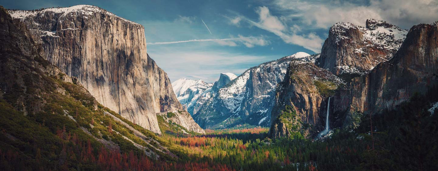 Yosmite Valley Buffalo Jackson