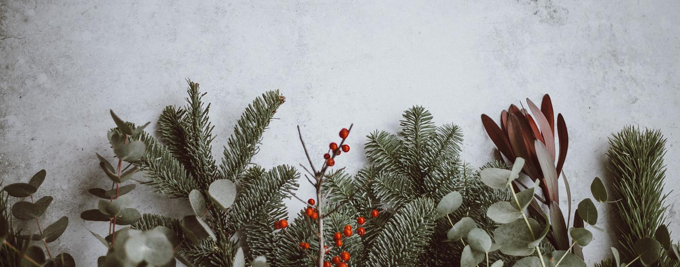 Decorations Buffalo Jackson