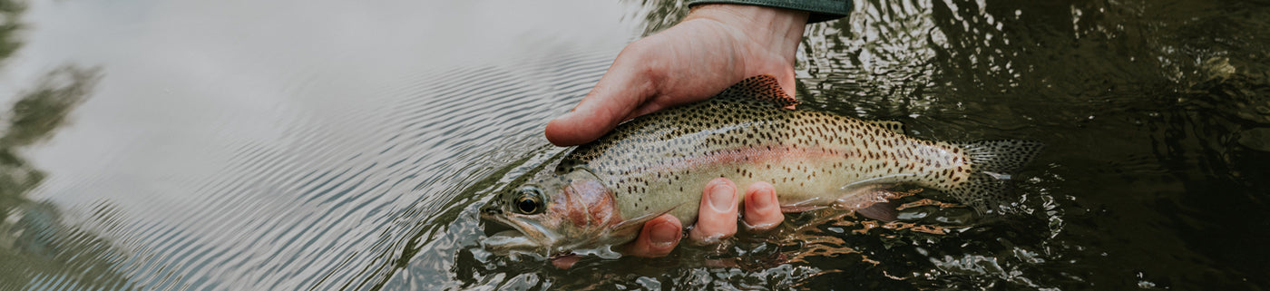 Fly fishing Guide Harrison Beckwith