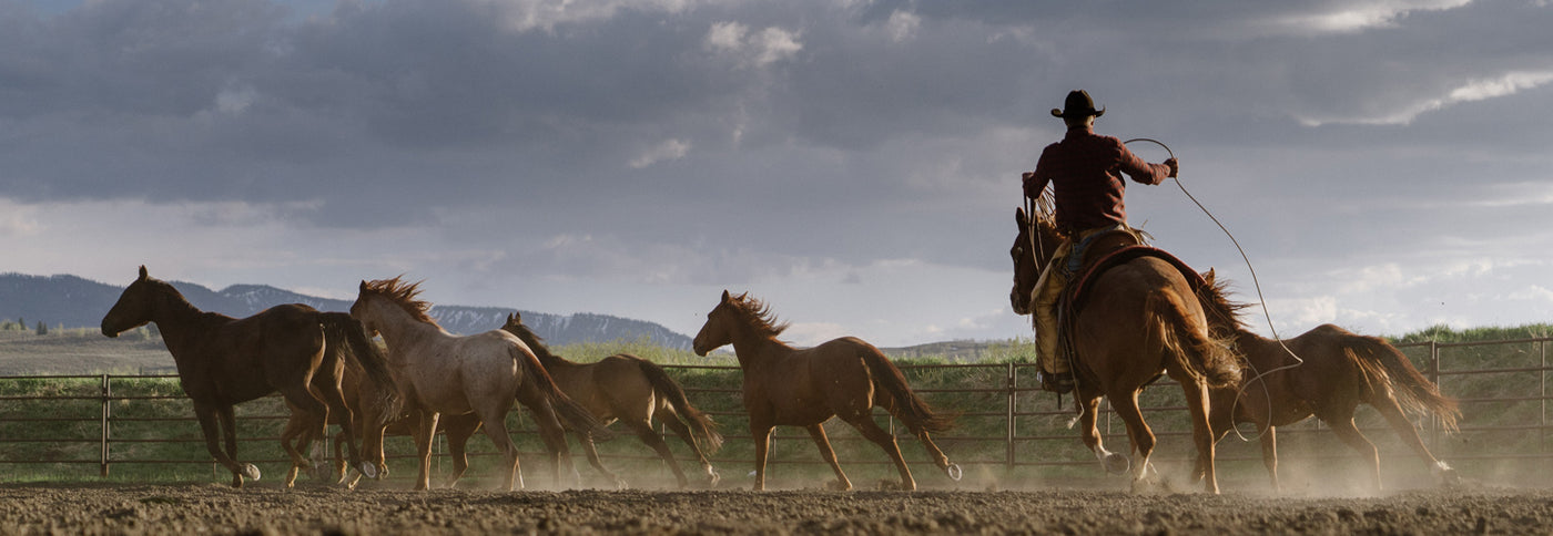 Grant Goliher Diamond Cross Ranch Jackson Hole