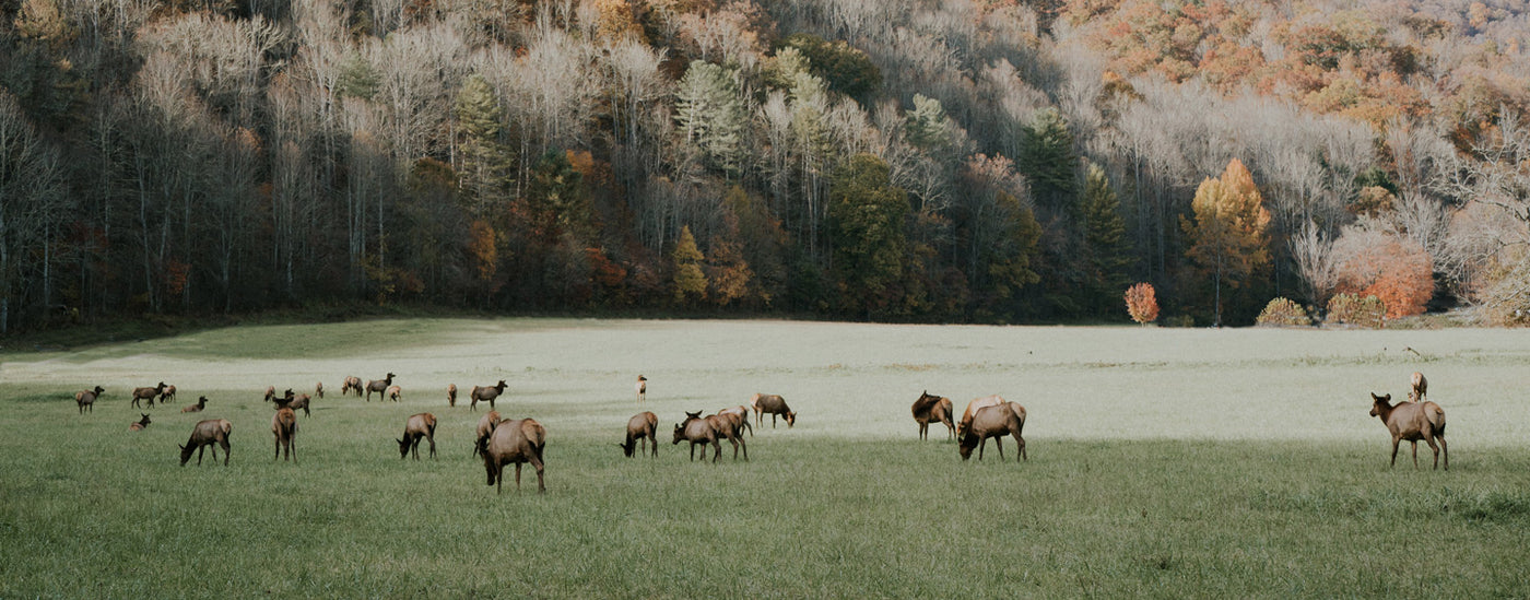 Take a Break, and Remember