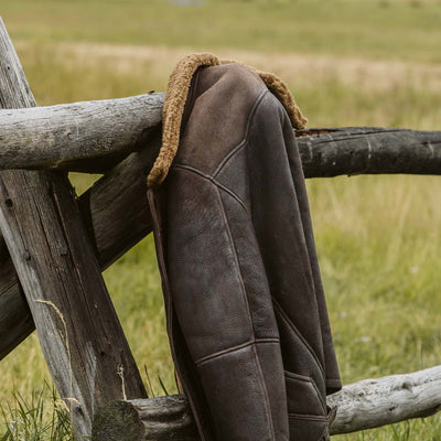 Jackson Shearling Leather Jacket | Brown