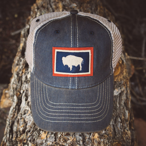 Wyoming Buffalo Flat Bill Hat - Gray/Stone/Navy