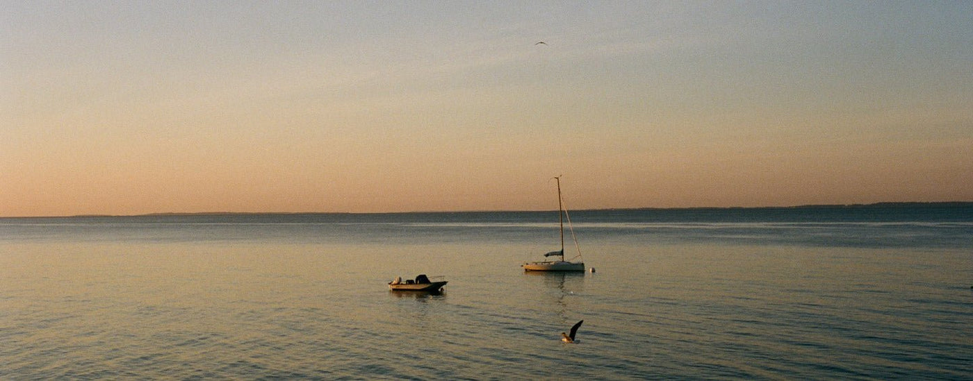 Ocean sunset Buffalo Jackson