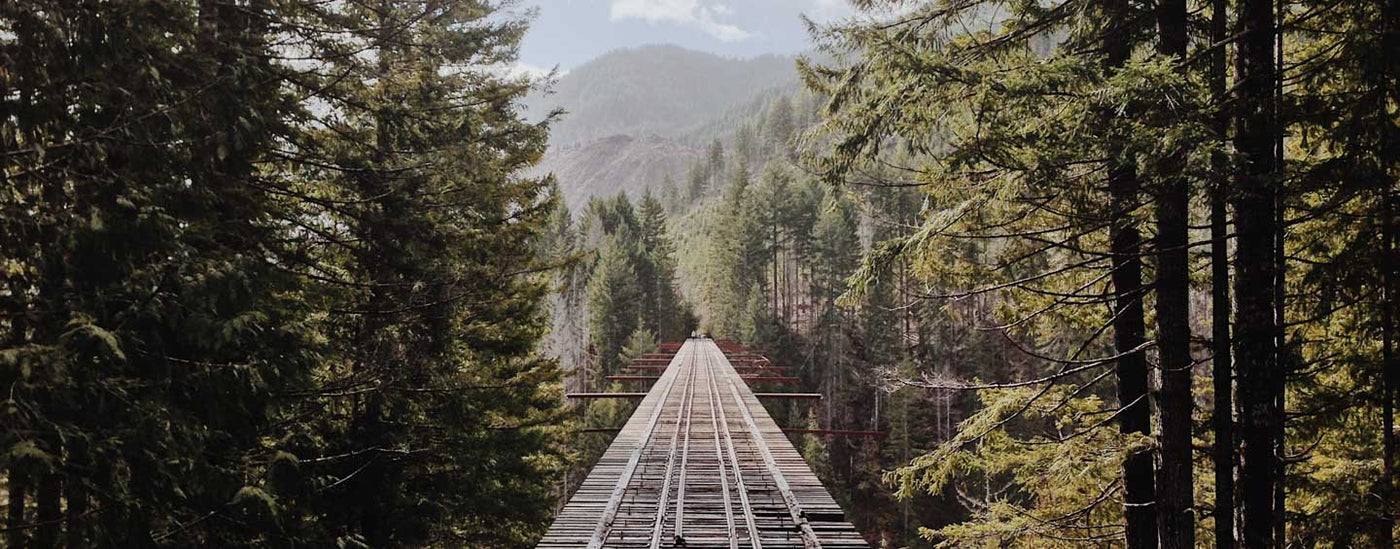 Abe Lincoln - The Rail Candidate