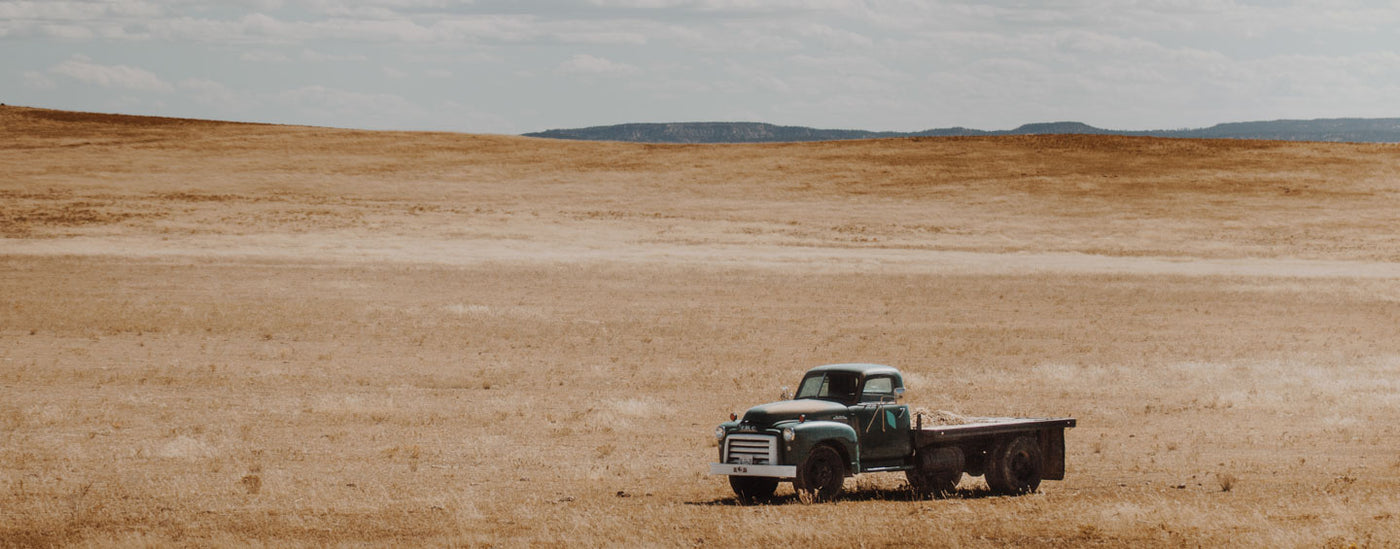 Old Truck Buffalo Jackson