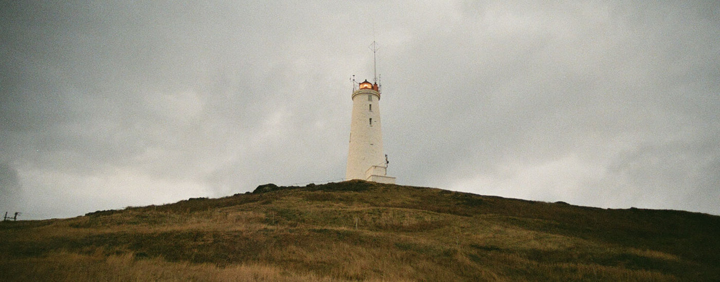 Iceland Buffalo Jackson