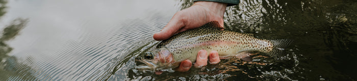 Fly fishing Guide Harrison Beckwith