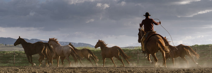 Grant Goliher Diamond Cross Ranch Jackson Hole