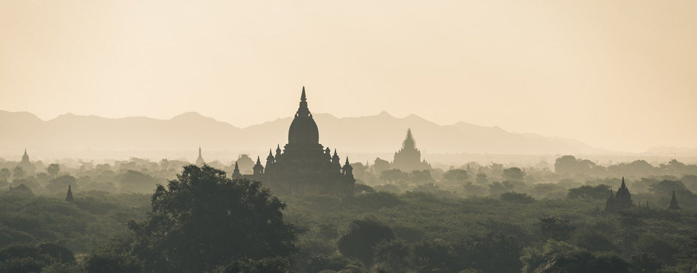 Burma Buffalo Jackson